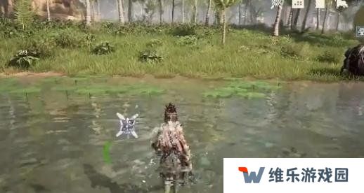 荒野起源稳定的锚点有什么用 稳定的锚点作用介绍