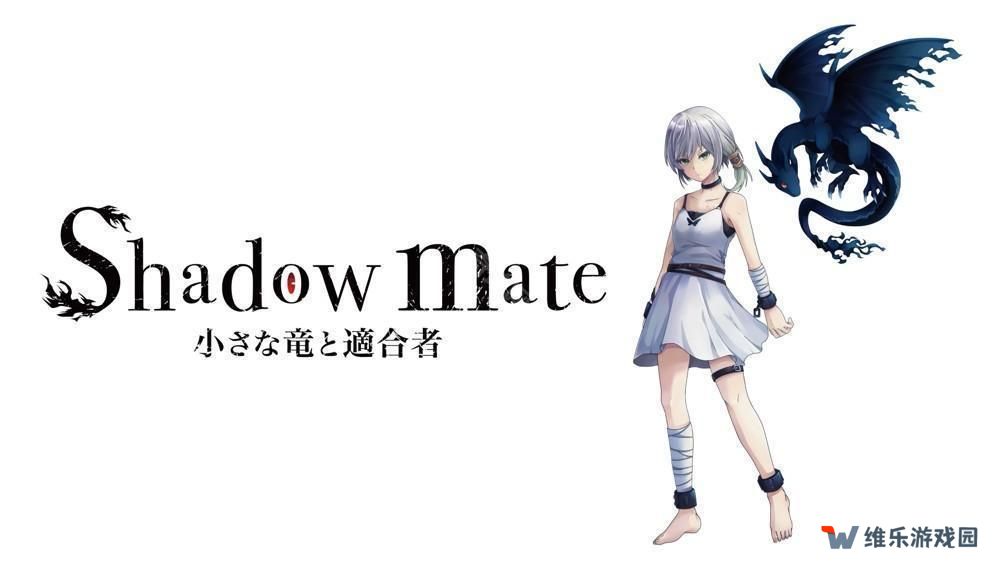 恐怖冒险游戏《暗影伙伴～小龙与契合者～（Shadow mate ~小さな竜と适合者~）》将于2025年登场 与小龙伙伴合作逃出实验室