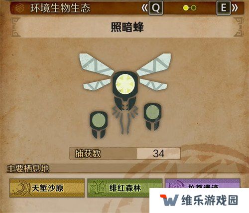 怪物猎人荒野照暗蜂在哪里 照暗蜂具体位置一览