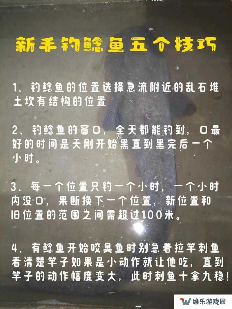 小森生活鲶鱼究竟藏身何处？全面钓鱼攻略指南揭秘！