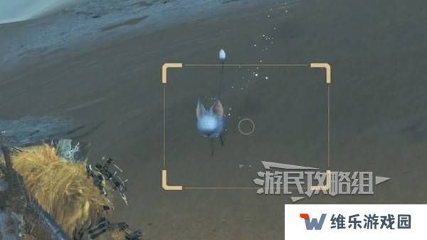 怪物猎人荒野沙野流星位置在哪   沙野流星位置