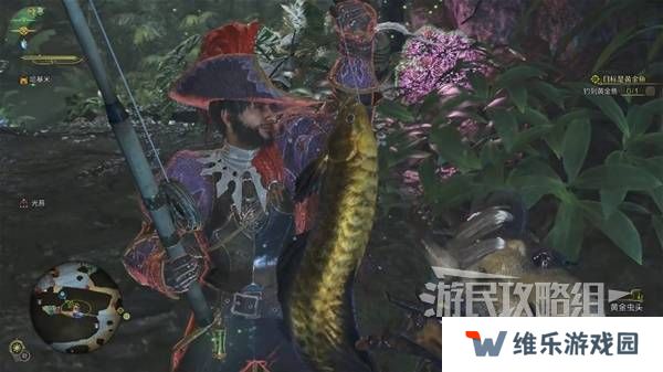 怪物猎人荒野黄金鱼怎么钓    钓黄金鱼位置一览图片6