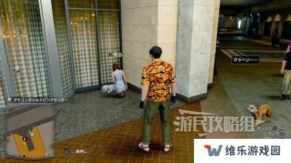 如龙8外传救护动物位置总汇   救护动物食材盘点图片19