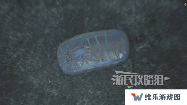 怪物猎人荒野大虚无动在哪捕获    大虚无动捕获攻略图片8