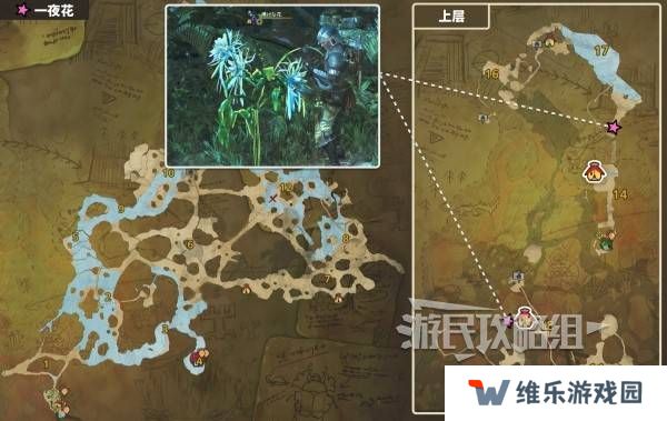 怪物猎人荒野一夜花的月华粉位置及获取途径一览图片4