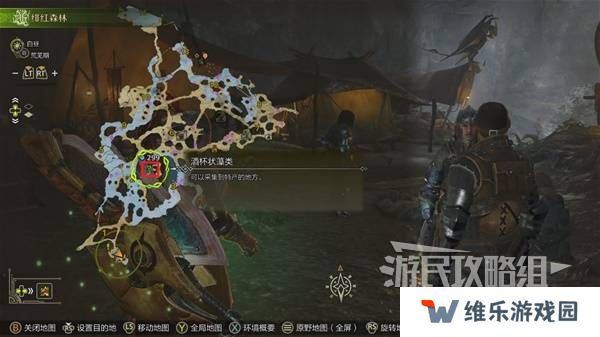 怪物猎人荒野黄金鱼怎么钓    钓黄金鱼位置一览图片3