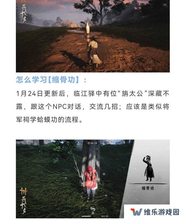 燕云十六声缩骨功在哪    缩骨功获得攻略图片2