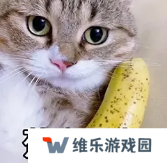 【大河怼策划】交易区真的要来啦！