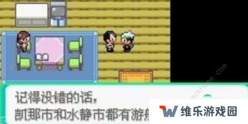 口袋妖怪究极绿宝石5.4攻略大全 5.4版本全周目通关总汇图片6