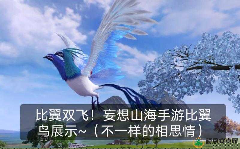 妄想山海比翼鸟获取攻略 快速获取比翼鸟方法分享