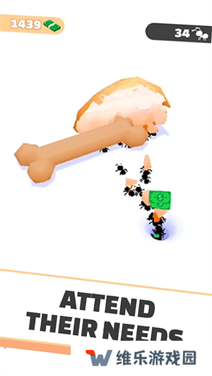 小蚁帝国