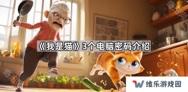 我是猫电脑密码是多少-3个电脑密码介绍