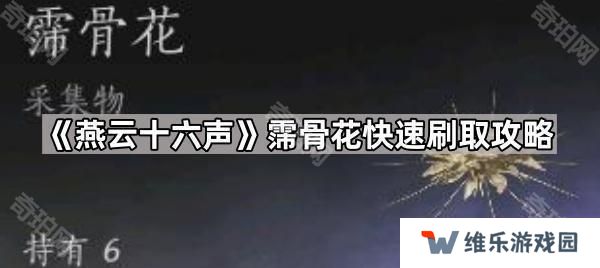 燕云十六声霈骨花在哪刷-霈骨花快速刷取攻略
