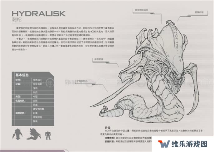 星际争霸2兵种图鉴大全图二