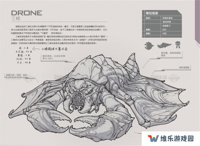 星际争霸2兵种图鉴大全图十