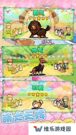 发现狗狗乐园汉化版