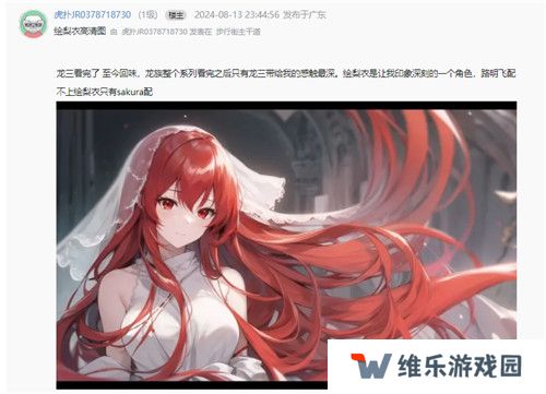 今年虎扑女神大赛，《龙族》粉丝集体演了一出“越共探头”