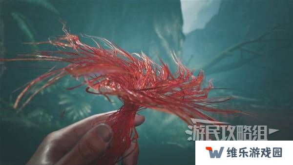 怪物猎人荒野攻略总汇   全章节任务流程攻略图片36