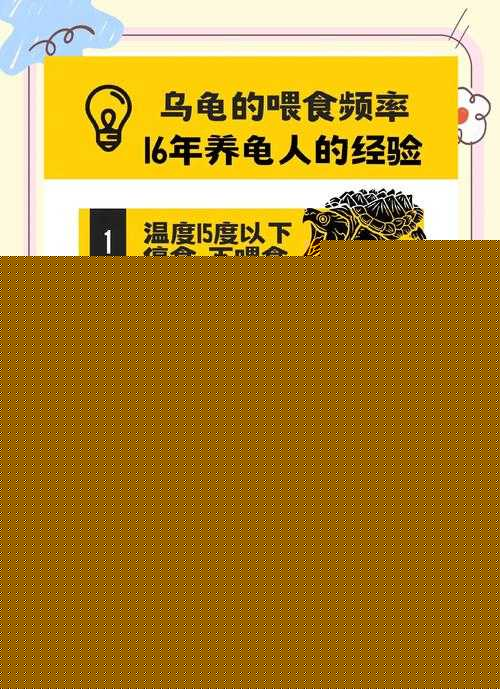 鬼谷八荒乌龟保护方法介绍