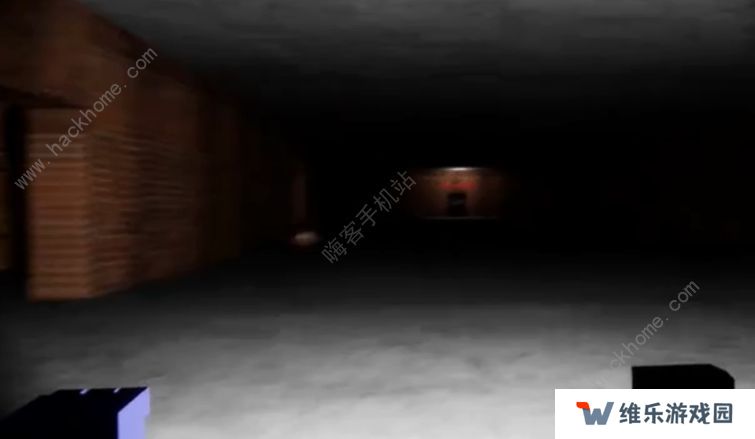 冒险的朵拉游戏攻略大全 盗版朵拉游戏通关结局总汇图片4