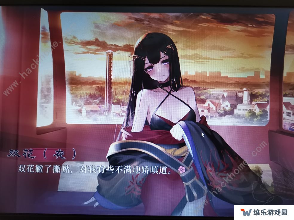 葬花暗黑桃花源攻略大全 全结局达成总汇图片2