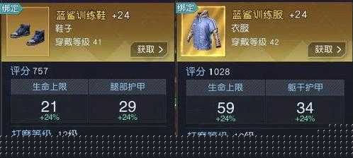 黎明觉醒装备属性详解与效果分析，演变史专题