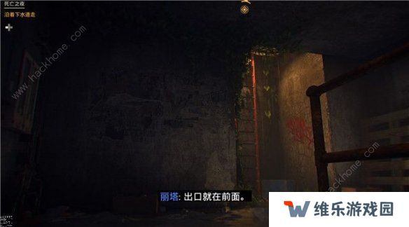 孤岛惊魂6攻略大全 新手技巧及任务通关总汇图片2