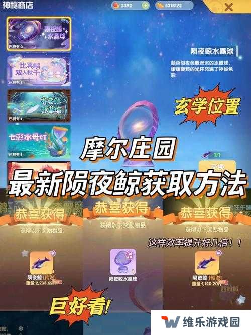 摩尔庄园手游雨点球位置全解析