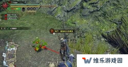 怪物猎人崛起狐火酸浆获取位置一览