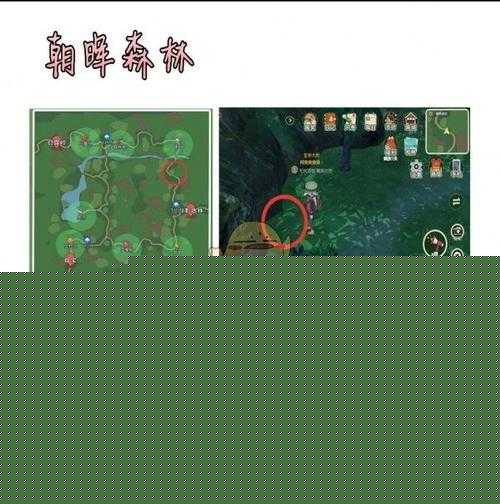 如何巧妙管理资源，成功完成小森生活中的甲虫对战任务？