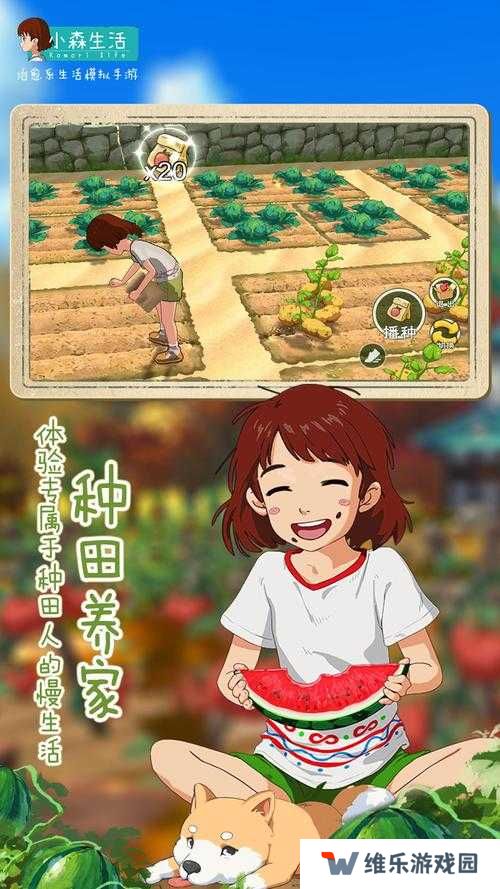 小森生活，解锁前辈挑战，成就你的田园大师之路