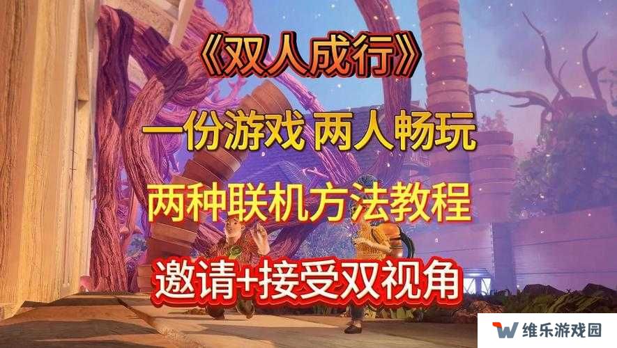 双人成行远程同乐使用攻略，资源管理、高效利用与价值最大化
