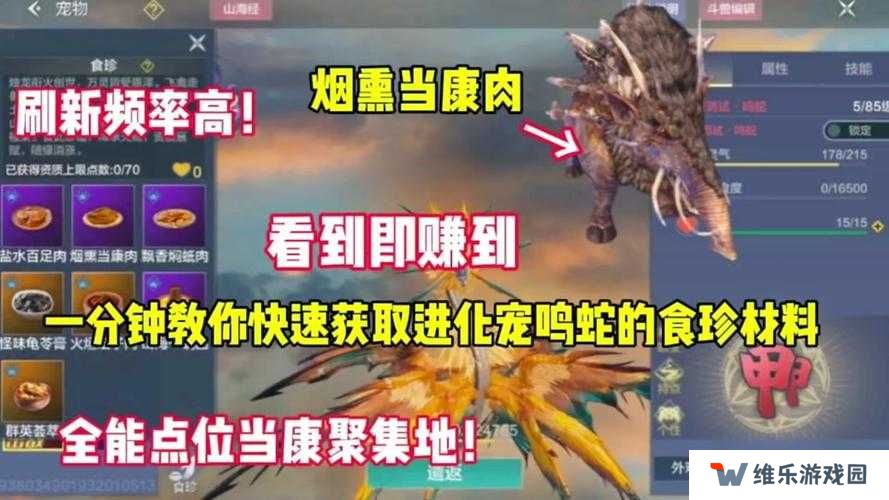 妄想山海定海神针如何巧胜棘背蜥，实现策略、资源管理与价值最大化？