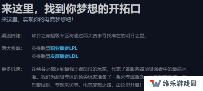 英雄联盟峡谷之巅资格申请条件2025图四