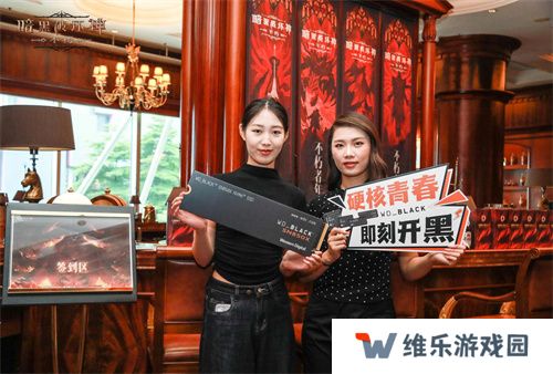 携手前行，感恩共创！《暗黑破坏神：不朽》2024玩家调研分享会回顾！