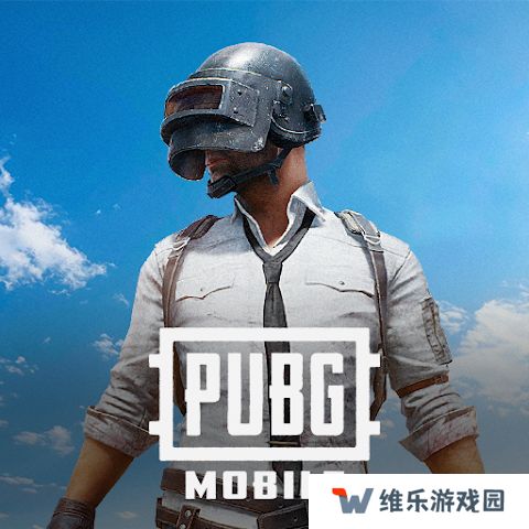 pubg国际服
