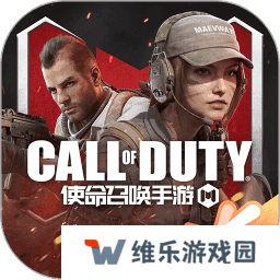使命召唤中文版